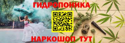 МДПВ Лесосибирск